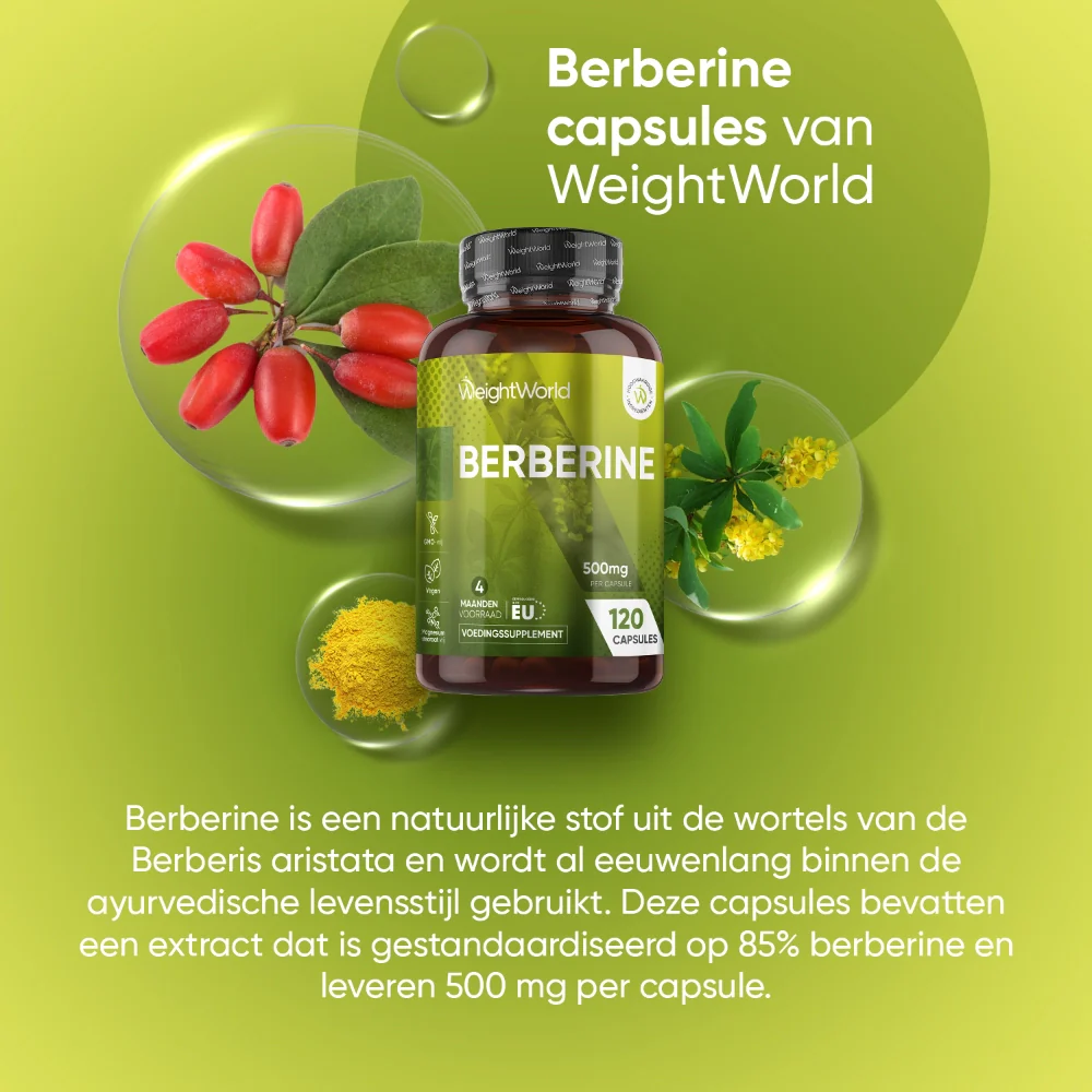 Berberine capsules - Image 2