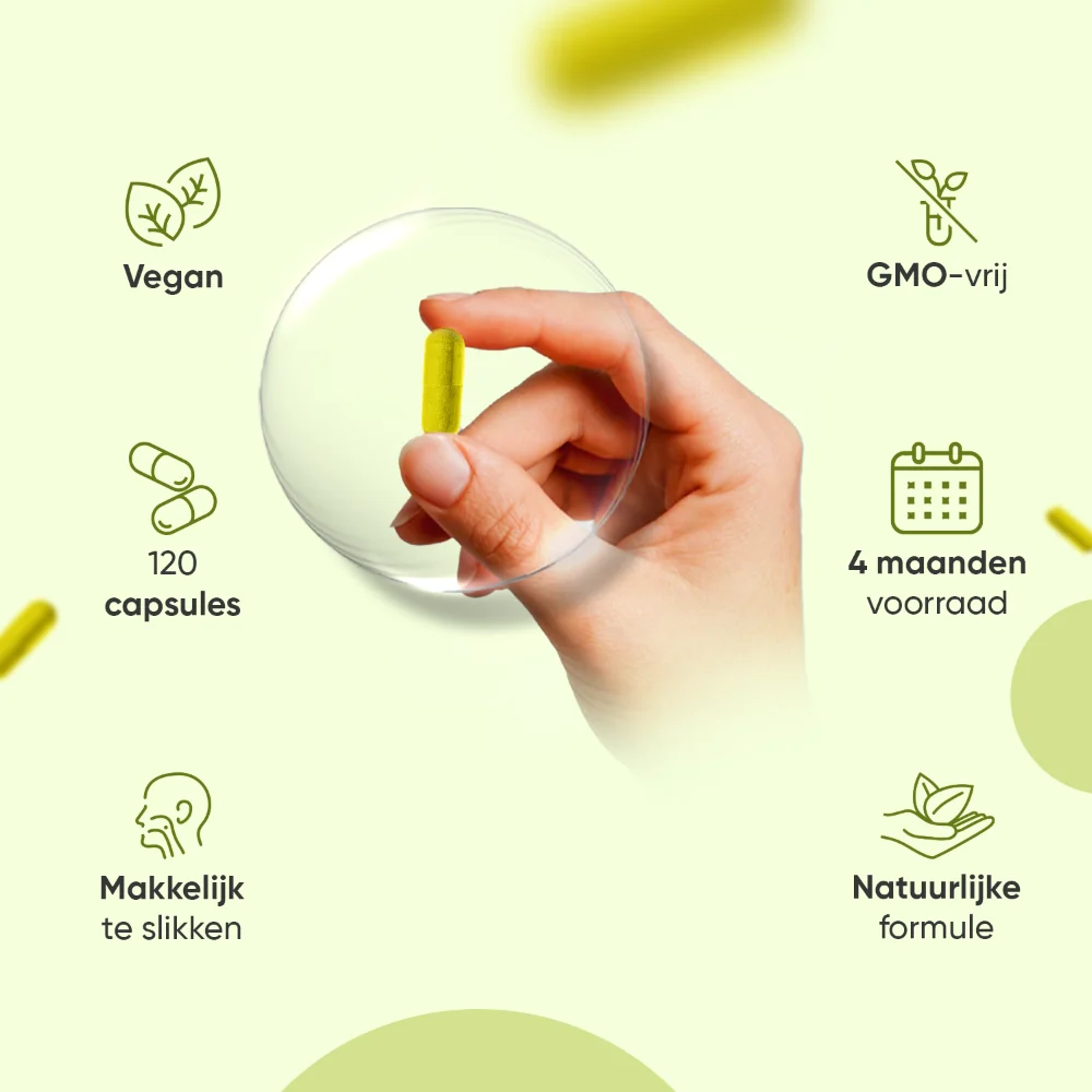 Berberine capsules - Image 3