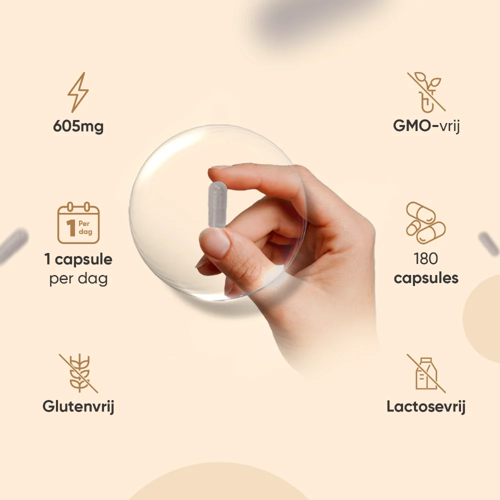 Biologische Ashwagandha Capsules - Image 4