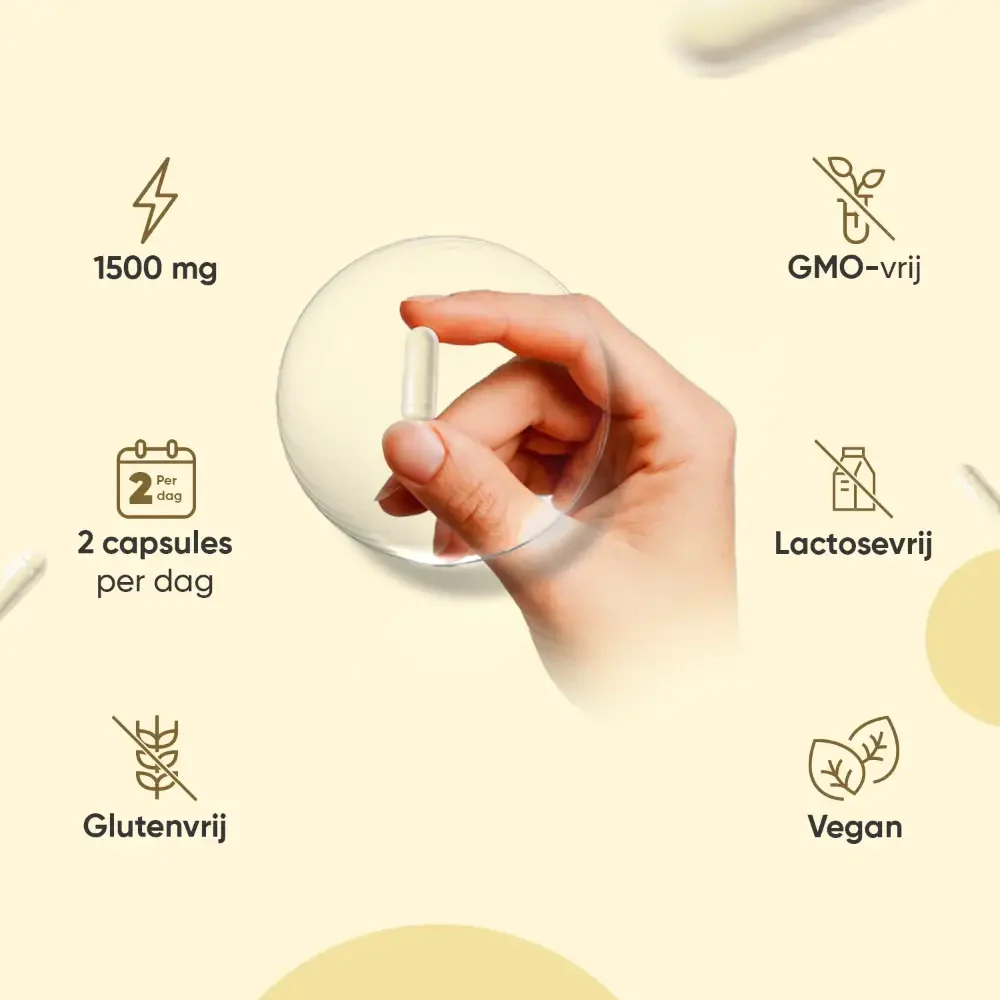 Biologische Fenegriek Capsules - Image 4