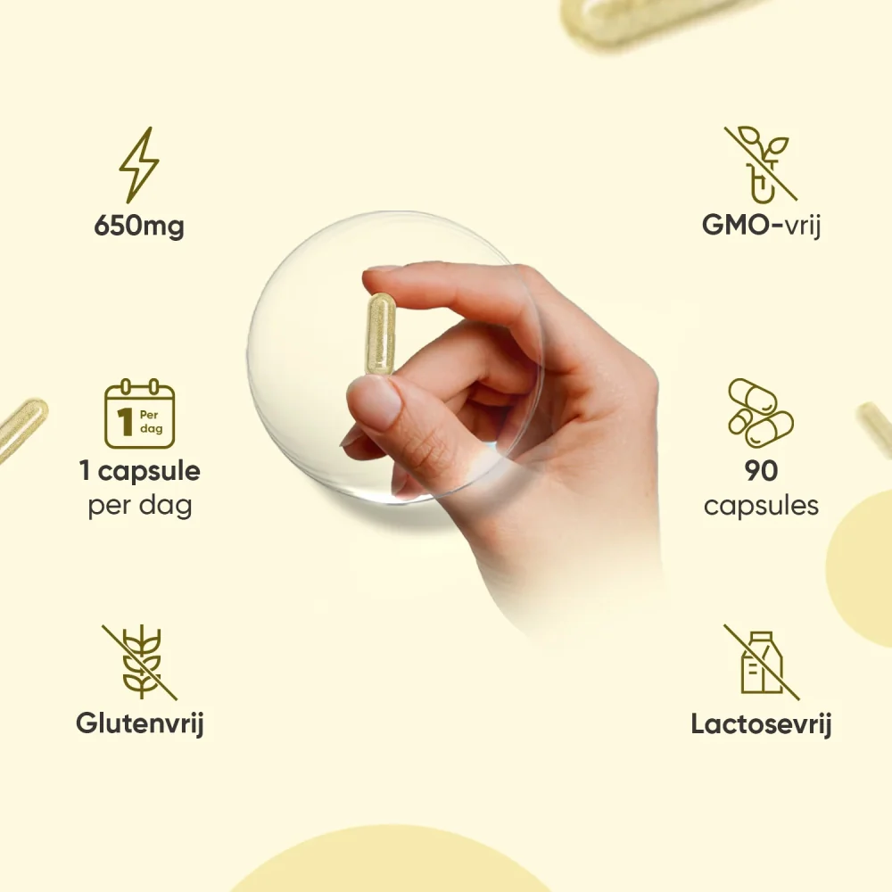 Biologische gember capsules - Image 4