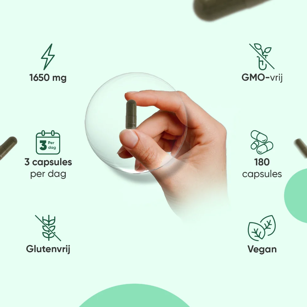 Biologische Moringa capsules - Image 4