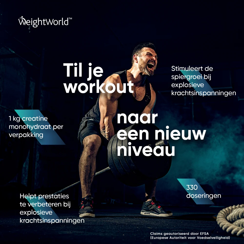 Creatine poeder - Image 4