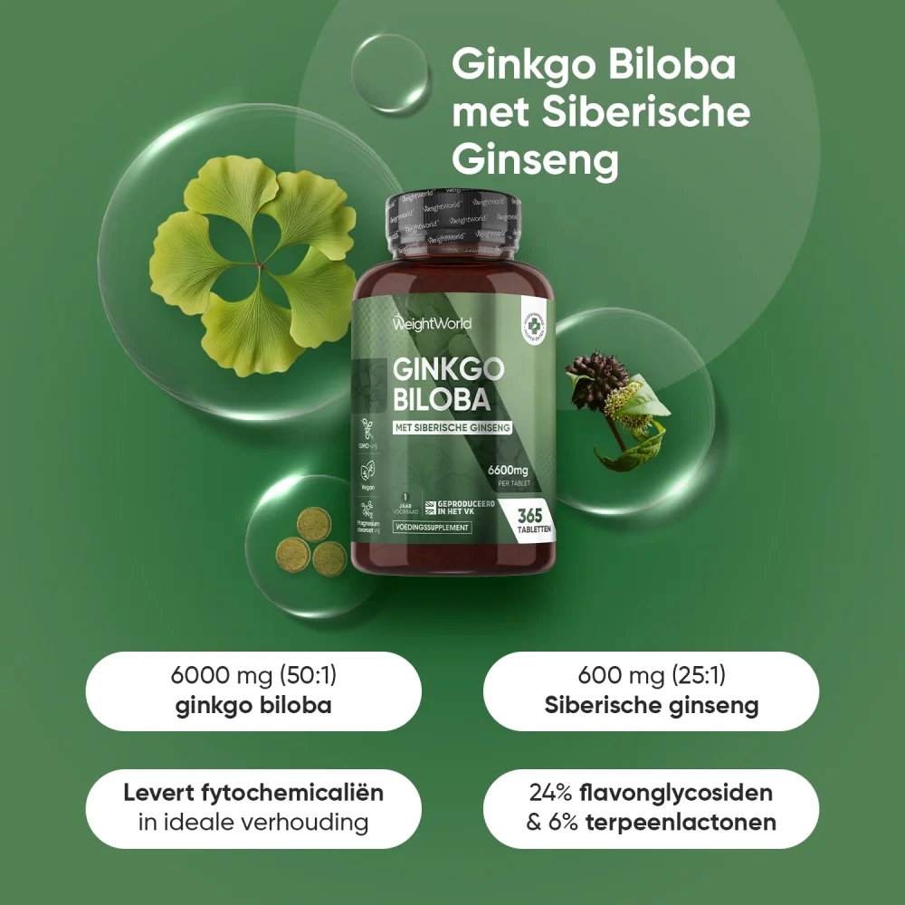 Ginkgo Biloba tabletten - Image 2