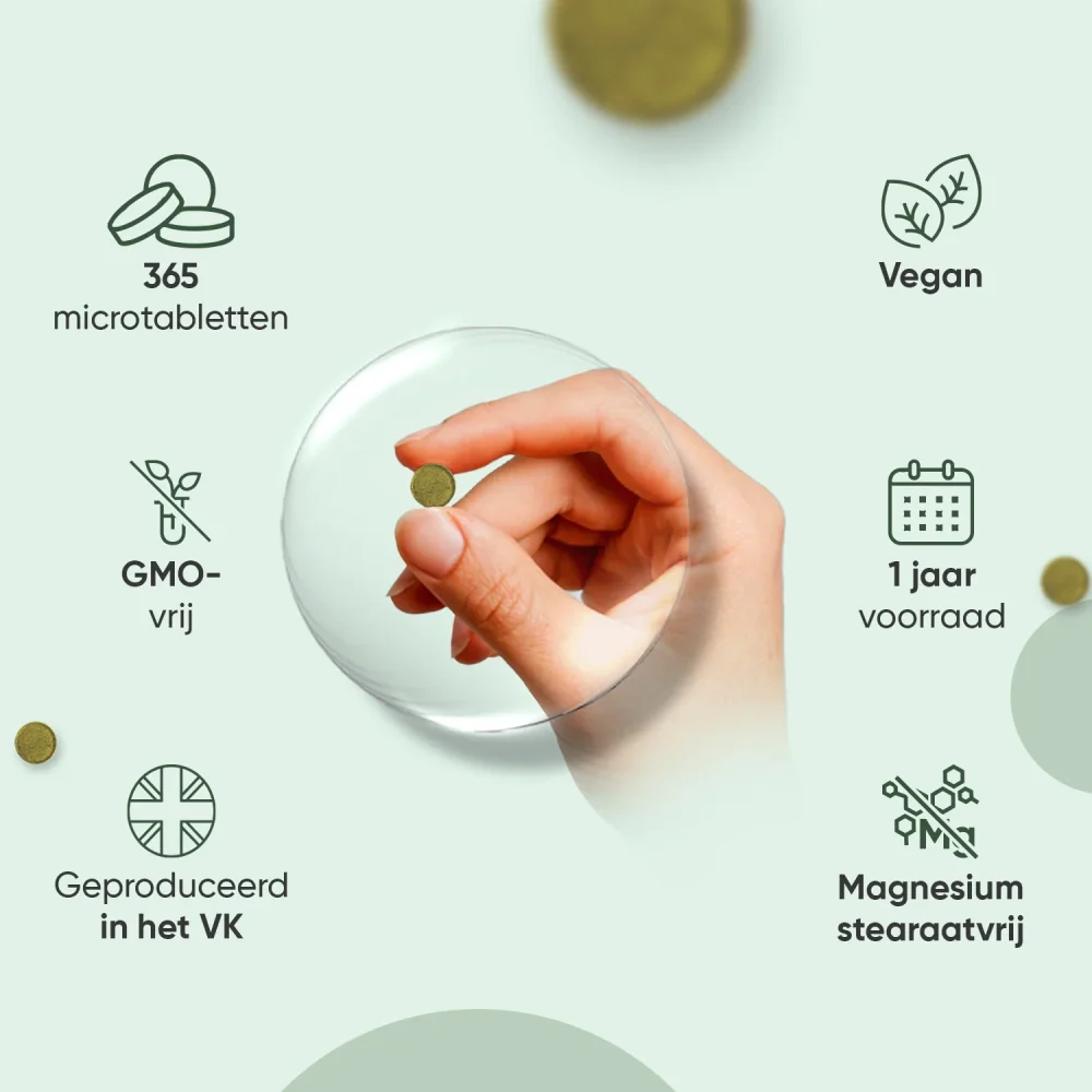 Ginkgo Biloba tabletten - Image 3