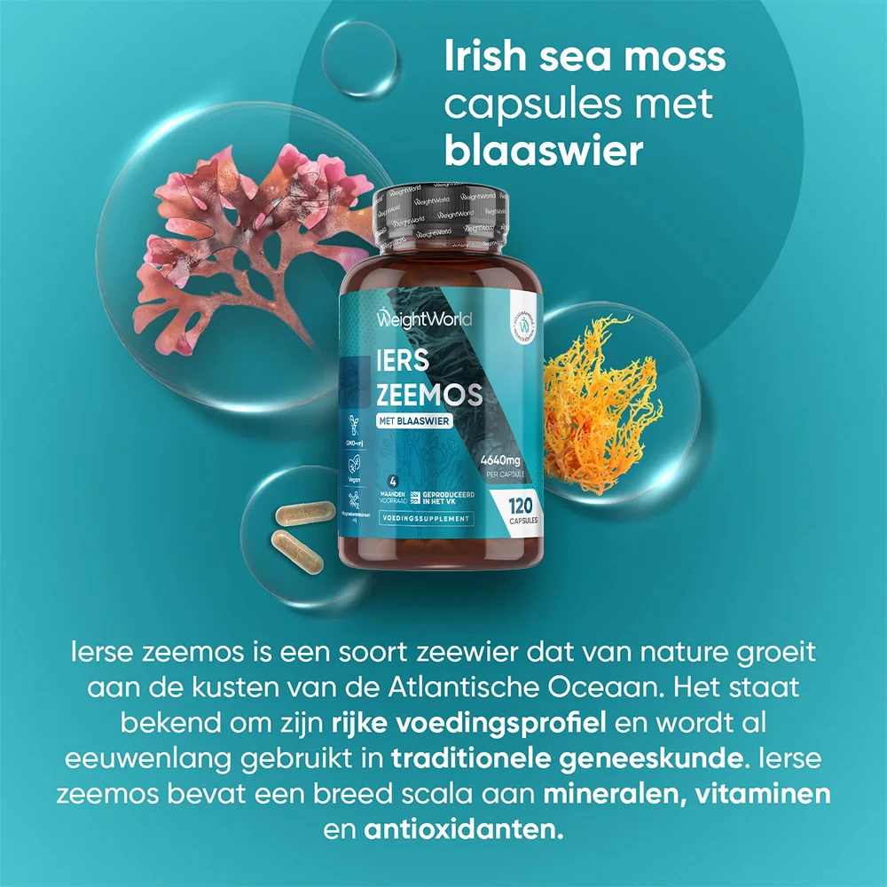 Irish Sea Moss capsules - Image 2