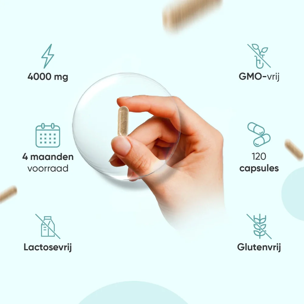Irish Sea Moss capsules - Image 3