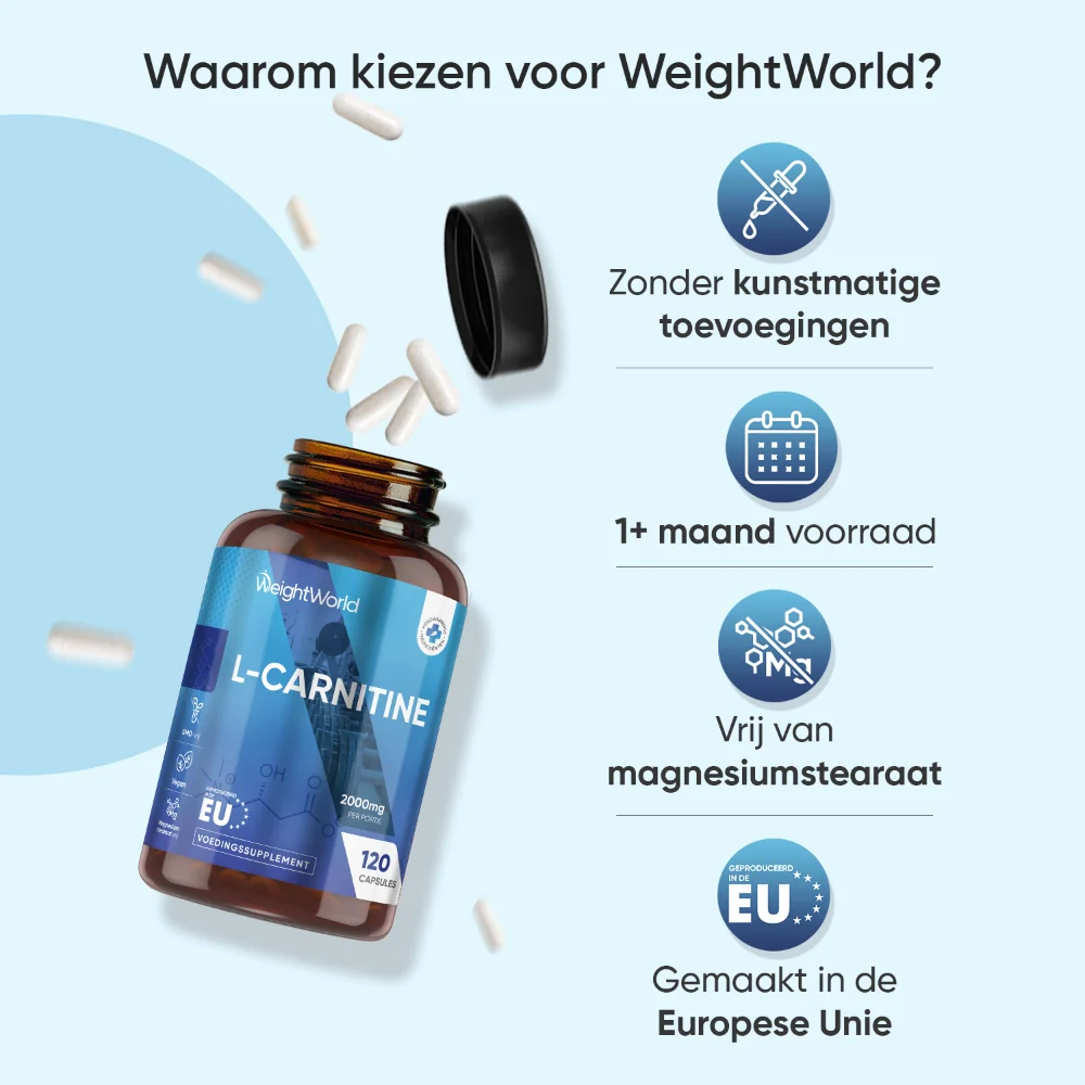 L-carnitine - Image 4