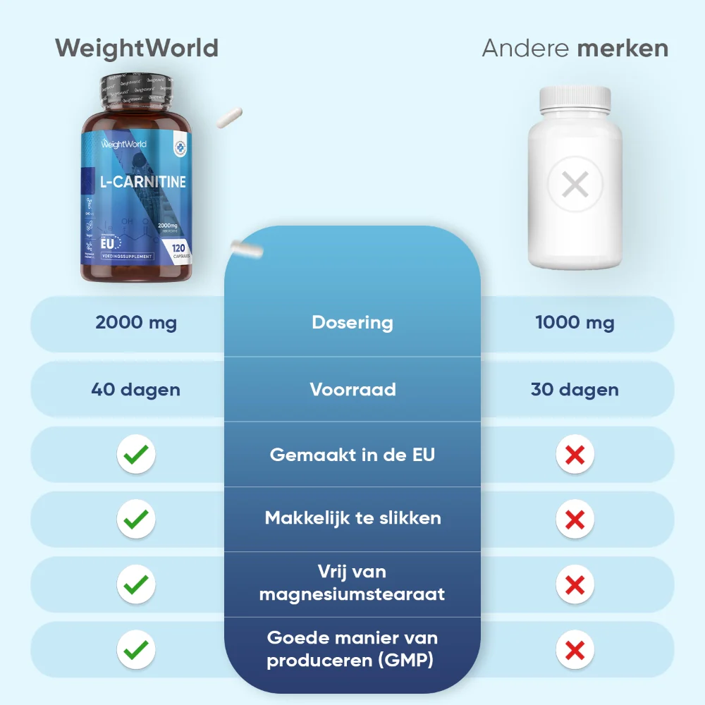 L-carnitine - Image 7