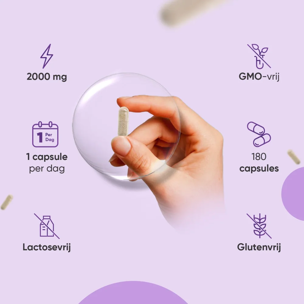 Mariadistel capsules - Image 3