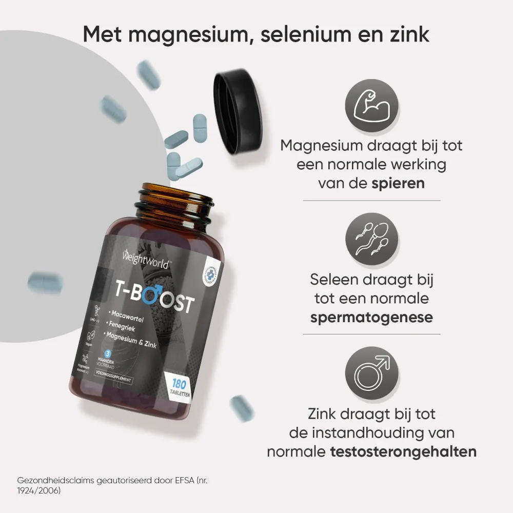 T-Boost - Image 3
