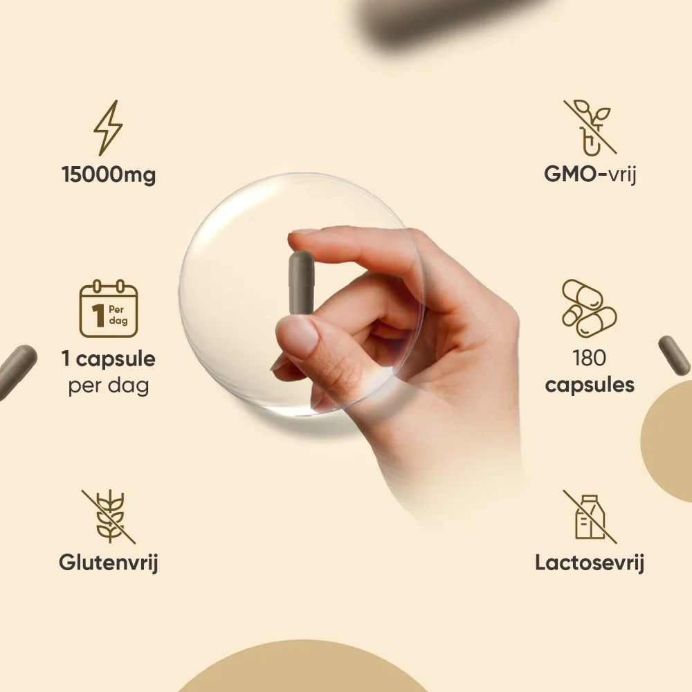 Zwarte Knoflook Extract - Image 4